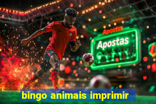 bingo animais imprimir